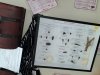 activites-biodiversite-5