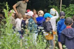 La-Folie-de-Finfarine-32