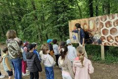 La-Folie-de-Finfarine-33