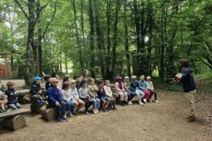 La-Folie-de-Finfarine-39