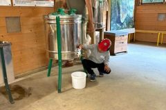 La-Folie-de-Finfarine-43