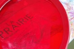 La-Folie-de-Finfarine-30-1