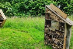 La-Folie-de-Finfarine-42-1