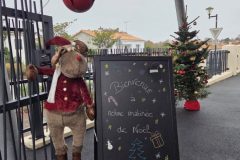 FB_IMG_1766435701082