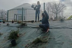 Matinee-travaux-6