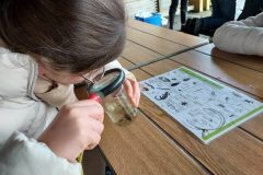 Sortie-Trivalandes-CM-Les-petites-betes-3-