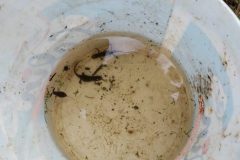 Sortie-Trivalandes-CM-Les-petites-betes-4-