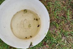 Sortie-Trivalandes-CM-Les-petites-betes-7-